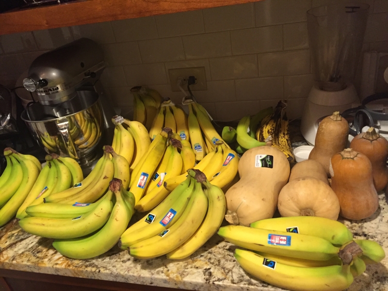 Wendy's Pantry. Hoarding bananas is a known SCD trait.